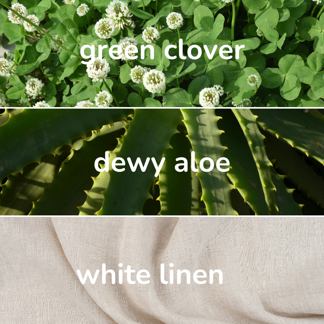 Floridian Candle - Green Clover and Aloe